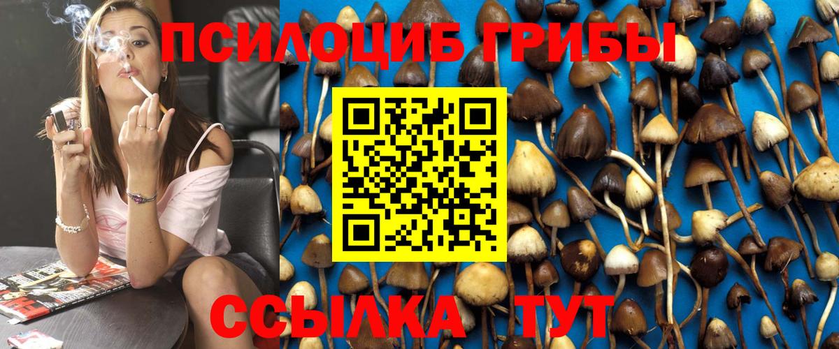 Псилоцибиновые грибы Cubensis  Псилоцибиновые грибы мицелий  Вязьма  Вход с VPN 
